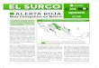 Maíz transgénico en Méxicoceccam.org › sites › default › files › El Surco 2013 final nuevo.pdfde temporal se ha terminado. Casi el 80 por ciento de la producción de maíz