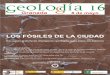 LOS FÓSILES DE LA CIUDADsociedadgeologica.es/archivos_pdf/geolodía16/carteles...•Nos encontraremos en cada una de las cuatro paradas: dos en el centro de la ciudad (Catedral y