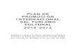 Plan Promoción Internacional del Turismo 20102012...PLAN DE PROMOCIÓN INTERNACIONAL DEL TURISMO CULTURAL 2010-2012 Adoptado el 1 de junio de 2010 por Acuerdo de los Ministros de