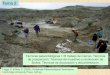 Planificando una campaña de campo - aragosaurus.com › secciones › docencia › tema › Paleonto... · 2014-04-29 · Leiggi, P. & May, P. (2005): Vertebrate Paleontological