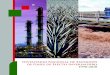 Inventario Nacional de Emisiones€¦ · III.4.2 Industria del petróleo y gas natural (1B2) ... IV. Procesos Industriales IV.1 Panorama general IV.2 Industria de los minerales (2A)