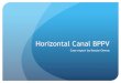 Horizontal Canal BPPV - dptportfolios.web.unc.edudptportfolios.web.unc.edu › files › 2017 › 04 › Owens_K_Case_Report.… · Horizontal Canal BPPV Case report by Kenzie Owens
