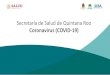 Secretaría de Salud de Quintana Roo Coronavirus (COVID-19)€¦ · Internacional: DECLARATORIA DE EMERGENCIA DE SALUD DE IMPORTANCIA INTERNACIONAL (ESPII) PANORAMA EPIDEMIOLÓGICO
