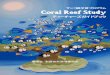 サンゴ礁学習プログラム Coral Reef Study - envkyushu.env.go.jp/okinawa/coral_reef_study/CoralReefStudy...Coral Reef Studyの実施にあたって ・・・・・・・・・・・・・・・・・・・・・・・・・・・・・・・