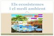 Els ecosistemes i el medi ambient - WordPress.com · 2019-01-25 · ECOSISTEMES TERRESTRES ELS BOSCOS L’elementmés destacable són els arbres, que proporcionen aliment i recerca