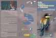 RUTA TORREMOCHA- TORREALBA · DE TORREALBA Observando aves en los Llanos de Cáceres y Sierra de Fuentes N A T U R A 2 0 0 0 EX-206 EX-390 EX-100 N-521 N-630 A-66 A-58 Cáceres N-630
