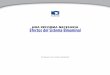 Programa de Gobernabilidad - FLACSO-Chile › ... › 05 › ...Sistema-Binominal.pdf · 7. El sistema binominal no ha incentivado la reducción del número de partidos 22 8. El sistema