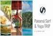 Panamá Surf & Yoga TRIP - La Wave Surf · Tenemos organizada una salida de snorkel a isla Coiba y otro día un paseo en paddle. Disfrutaremos de una bonita villa surfera con desayunos