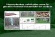 Herramientas selvÃcolas para la gestiÃ³n forestal ... · gestores forestales de Galicia y de las regiones próximas, además de entre investigadores, docentes y estudiantes de