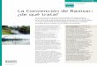 La Convención de Ramsar: ¿de qué trata? · La Convención sobre los Humedales de Importancia Internacional, conocida como la Convención de Ramsar, es un acuerdo internacional