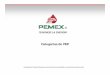 Categorías de PEP - Pemex · Propiedad de Petróleos Mexicanos está estrictamente prohibida su reproducción parcial o total. Expositores Mtro. Salvador Neftalí Escobedo Sánchez