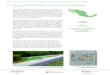 Manual de Calles: Diseño vial para ciudades mexicanas Nacionaliki-alliance.mx/wp-content/uploads/07-Nacional.-Manual-de-Calles.pdf · • Norma Técnica de Diseño de Calles para
