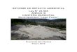 INFORME DE IMPACTO AMBIENTAL Ley N° 24.595 ANEXO III CANTERA … · 2019-03-20 · IAP-Cantera Municipal Municipalidad de Lago Puelo-Chubut 1 INDICE Página I. INFORMACION GENERAL