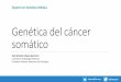 Experto en Genética Médica - Genotipia › wp-content › uploads › 2019 › 04 › 6.2.pdf · Genética del cáncer somático José Antonio López-Guerrero Laboratorio de Biología
