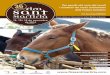 Per gaudir del món del cavall i conèixer les races autòctones dels ...firasantmartiria.com › wp-content › uploads › 2013 › 11 › Revista-Fira1… · Per gaudir del món