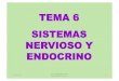 TEMA 6 SISTEMAS NERVIOSO Y ENDOCRINO · TEMA 6 SISTEMAS NERVIOSO Y ENDOCRINO 1/12/10 . ALF-FUNDAMENTOS BIOLÓGICOS-10/11 2 El Sistema Nervioso (SN) es, junto con el Sistema Endocrino,