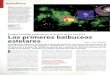 Red de Investigación Bólidos y Meteoritos (SPMN) · 2009-02-26 · El agua también presente en el origen de las estrellas Los primeros balbuceos Josep M. Trigo i Rodríguez Investigadores