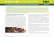 E PAE E Epae.gencat.cat/web/.content/al_alimentacio/al01_pae/05... · 2019-03-03 · E PAE E E P 01 INTRODUCCIÓ El compostatge té un paper primordial en l’agricultura ecològica