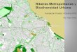 Riberas Metropolitanas y Biodiversidad Urbana...Delta de Paraná * Elementos → Nodos verdes (Plazas, Parques, Reservas). → Corredores de Biodiversidad (Fluviales, Ferroviarios