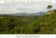 Cicle Naturalístic: El bosc mediterrani · 2018-01-13 · Biodiversitat en el bosc mediterrani al llarg de les diferents estacions de l’any Situada en la plana del Vallès, sobreviu