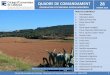 QUADRE DE COMANDAMENT 28 - OBEALIMENTÀRIA · Col.legi d'Economistes de Catalunya - Observatori de l'Economia Agroalimentària – Febrer 2019 2 FETS DESTACATS (I) • Se sumen incerteses