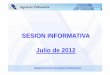 SESION DE JULIO 2012 SOCIEDADES - Agencia Tributaria · El porcentaje para el cálculo del importe mínimo será: Delegación Central de Grandes Contribuyentes Julio 2012 4 % (para