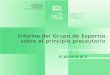 Informe del Grupo de Expertos sobre el principio precautorio; …depa.fquim.unam.mx/amyd/archivero/Principio_precautorio... · 2013-10-16 · Composición del grupo de expertos de