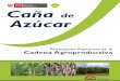 Dirección General de Competitividad Agraria Caña de Azúcaragroaldia.minagri.gob.pe/.../agroeconomia_canaazucar.pdf · 2017-03-30 · llones de nuevos soles, el subsector agrícola