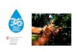 El costo de vivir sin agua ni - IUCN › sites › dev › files › content › documents › ...miembro, para fomentar la participación de jóvenes voluntarios. • Involucramiento