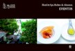 Hotel & Spa Molino de Alcuneza › pdf › catalogo_eventos.pdfHotel & Spa Molino de Alcuneza Relais & Châteaux lleno de encanto con un servicio de lujo a una hora de Madrid. 8 Suite