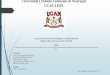 Universidad Cristiana Autónoma de Nicaragua UCAN-LEÓN...DISEÑO METODOLÓGICO Procesamiento de recolección de información El procedimiento de la toma de datos se realizara una