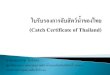 ใบรับรองการจับสัตว์น้ำ (Catch Certificate of Thailand) · 2.5 อวนล้อมจับปลาโอ (Bonito purse seine) สัตวน์้าที่จบัได้คือ