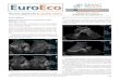 Vol 3 4 1247 - euroeco.orgeuroeco.org/vol3_num4_dicieb2012/pdf/120_122.pdf · Agenesia de la vena cava inferior como hallazgo casual. EuroEco 2012;3(4):120-122. 120 Caso clínico