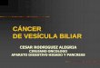 CÁNCER DE VESÍCULA BILIARdrcesarrodriguez.com/pdf/cancer_vesicula_2.pdf · 2012-04-24 · Hospital Rebagliati: 2,6 –3 % de todas las vesículas estudiadas ( n = 5000) • Servicio