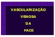 VASCULARIZAÇÃO VENOSA DA FACE - Moro Ortodontiamoroortodontia.com.br/anatomia/Aula_veias.pdf · 2020-03-31 · B A rede venosa do interior do crânio ... também uma fração significante