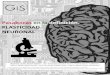 Pasabocas en la definición. PLASTICIDAD NEURONALanmdecolombia.net/attachments/article/641/NEURO... · del tema que la neuroplasticidad es la potencialidad del sistema nervioso de