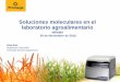 Soluciones moleculares en el laboratorio agroalimentario · Promega: Mision y Visión Misión: Proporcionar soluciones fiables y personalizadas que permitan el progreso en la investigación