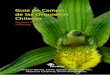 Guía de Campo de las Orquídeas Chilenas · El diseño, tamaño y formato de esta Guía de campo es de propiedad de la Corporación Chilena de la Madera, CORMA, y cualquier uso de