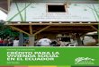 CRÉDITO PARA LA VIVIENDA SOCIAL EN EL ECUADOR › 2018 › 01 › ... · credito para la vivienda social en el ecuador Entre los principales emisores de créditos de vivienda, por