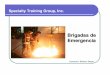Estructura de Brigadas - Specialty Training Group · 8. Analizar los resultados de las emergencias enfrentadas, su manejo, consecuencias y retroalimentación a los funcionarios, así