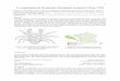 La munidopsis de Bermudez Munidopsis bermidezi Chace, 1939 · Dorippidae) collected by the USNS Bartlett in the Venezuela Basin, Caribbean Sea. Proceedings of the Academy of Natural