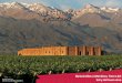 Bienvenidos a Mendoza, Tierra del Sol y del buen vino · Mendoza Holidays se especializa en paseos privados, itinerarios a medida y programas personalizados en las principales regiones