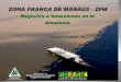 ZONA FRANCA DE MANAUS - ZFM - Invest & Export Brasil · 9º alemania 1,60% 10º mÉxico 1,54% 1º argentina 29,63% 2º colombia 10,22% 3º venezuela 9,96% alemania 5,40% 5º 5,36%