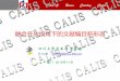 CALIS Union Catalog Centerproject.calis.edu.cn/jianbao/73/pdf/5.pdf融合开放视角下的文献编目新形态 CALIS Union Catalog Center 四川大学图书馆 黄毕惠 E-mail :