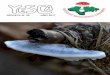 REVI S TA N° 29 AÑO 2017 - Somicansomican.com/wp-content/uploads/2017/11/YESCA-29-.pdf · Valentín Castañera participa con una conferencia en las XIX Xornadas micolóxicas de