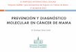 PREVENCIÓN Y DIAGNÓSTICO MOLECULAR EN …...Tendencias de la mortalidad por cancer en España A. Cabanes, et al, Cancer mortality trends in Spain: 1980–2007 Ann. Onc. 2010 21: