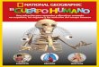 Mitad izquierda del cerebro - LOS JUEGOS DEL HAMBREcreatividades.rba.es/pdfs/mx/Cuerpo-humano_MEX_2019.pdf · LOS ÓRGANOS INTERNOS Para conocer los órganos principales del cuerpo,