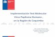 Implementación Test Molecular Virus Papiloma …...2020/02/25  · Sensibilidad: PAP 22% para NIE II v/s VPH 92,7% Especificidad: PAP 98,9% y VPH 92% Distribución de cobertura PAP