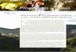 NMERO 1 AÑO 6 Propuestas andinas - Bosques Andinosbosquesandinos.org/wp-content/uploads/2016/11/pa-14_propuestas… · Respuestas de los bosques andinos a los cambios ambientales