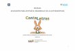 MANUAL APLICACIÓN PARA APOYAR EL DESARROLLO DE … Cantaletras_0.pdfaplicaciÓn para apoyar el desarrollo de la lectoescritura centro para el desarrollo de tecnologias inclusivas